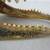 Genuine Taxidermy Alligator Head with Jaws & Teeth 8 1/2" Length 7 thumbnail