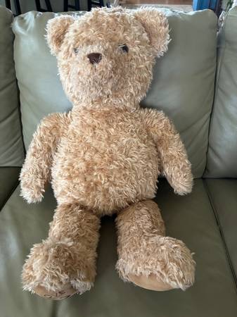 Gund Limited Edition 2000 Millennium Love Bear Hecht's 1