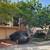 NEWLY REMODELED UNIT WITH PRIVATE PATIO 15 thumbnail
