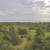 TBD FM 1696 ~ Land for Sale in Iola, TX 14 thumbnail