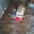 Tsurumi EPT3 4 inch trash/water pump 4 thumbnail
