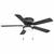 Ceiling Fan 5 thumbnail