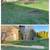 🍁🌱Mow, Aerate, Weeding,Mulch, Clean up and removal 2 thumbnail