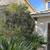 Beautiful single house for rent 9 thumbnail
