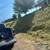 Field mowing,weed whacking, Blackberry eradication 3 thumbnail