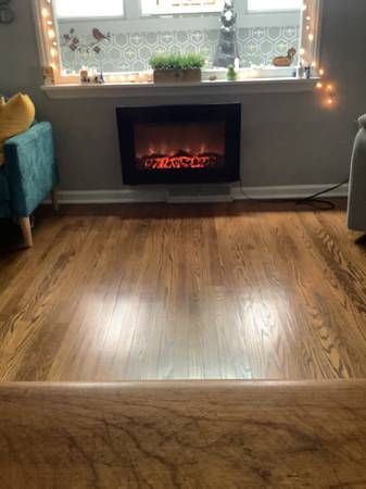 Electric Fireplace/Heater 1