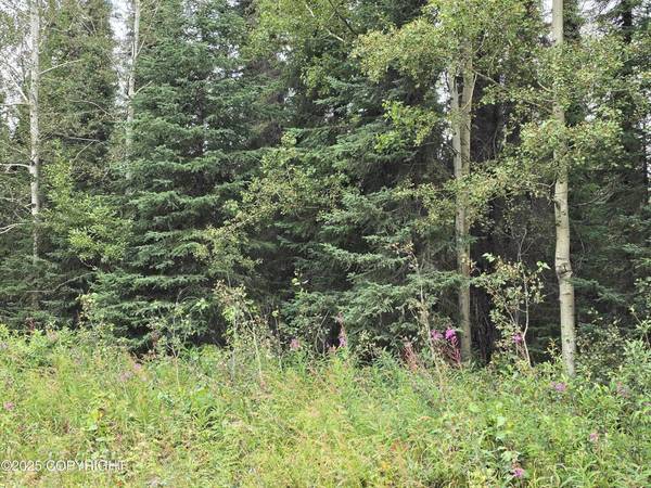 $26,000 Perfect to build your dream cabin, or recreational retreat (Soldotna)64163336991105124