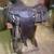 Antique Hereford Ranch Saddle 2 thumbnail