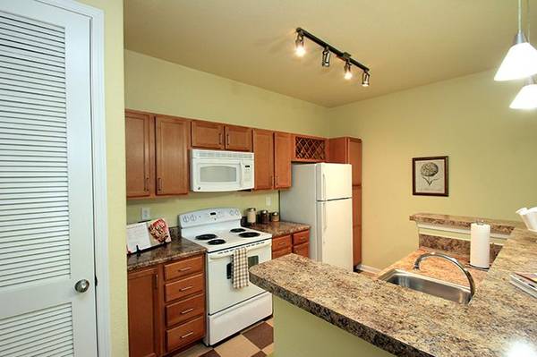 $1,249 / 1br - 802ft2 - 1 Bedroom #710  1 Month Base Free/Credited App And Admin fees (Asheville)64029375814273120