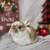 🤍Holland Lop Bunnies 🤍 3 thumbnail
