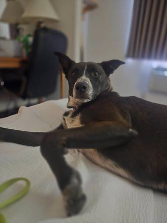 Anyone going to CA or OR? 1