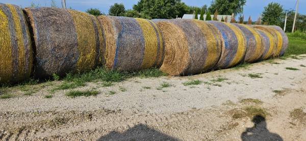 Round bales grass hay 1