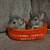 Chinchillas 1 thumbnail