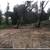 Excavation grading services 6 thumbnail