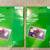 3 for $10 by Jan 13 thumbnail