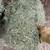Alfalfa hay available 2 thumbnail