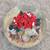 /// VTG FOREST CHRISTMAS CAROLERS w/SANTA MUSICAL SNOW GLOBE \\\ 5 thumbnail