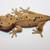 Ink Spot Crested Gecko 2 thumbnail