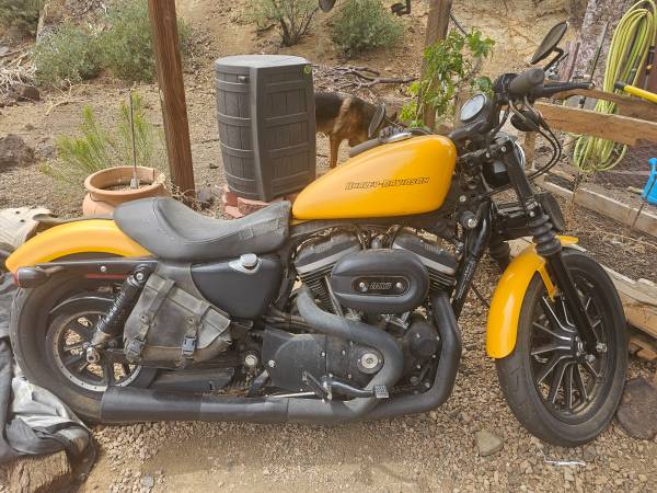 2011 Harley Sportster 1