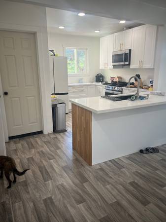 $995 Habitación soleada grande - 1000 (richmond / point / annex)63790049579907122