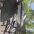 AlphaOne MerCruiser boat engine. Comes with trailer 4 thumbnail