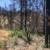 80 Amazing Acres $78,000. 1 thumbnail