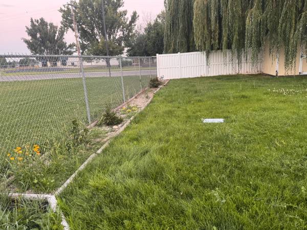 Home Cleaning & Yard Services 1