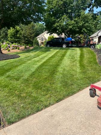 AERATION & Seed 1