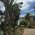 St. Thomas- Ultimate Privacy cottage (Magen's Bay West) 3 thumbnail