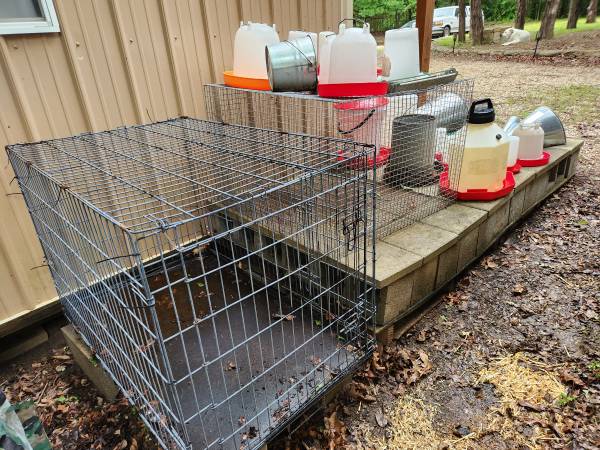 Poultry Supplies Bundle 1