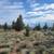 Buildable Off-Grid Acreage 9 thumbnail