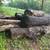 Black Walnut & Cedar + Mixed Logs - I Load,You haul 4 thumbnail