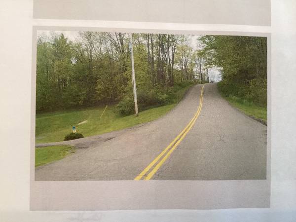 Christmas tree farm 1