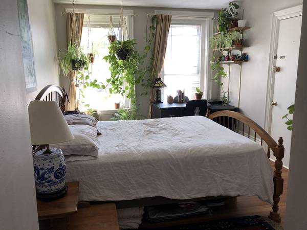 $1,200 / 1br - Sunny two-room studio in Union Square for short-term lease 11/6 - 12/2 (Somerville)63817540072195120