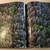 EARTH from Above   435 pages 4 thumbnail
