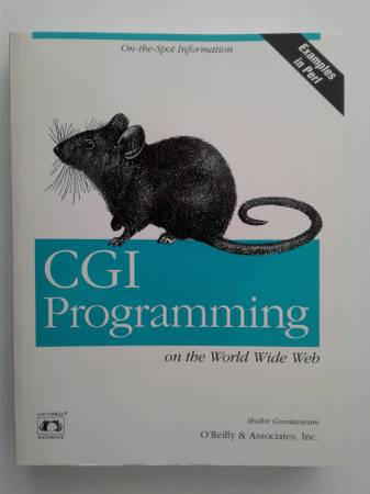 CGI Programming 1