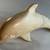 2 Carved Soapstone Dolphins 2 thumbnail