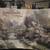 Thomas Kinkade Wall Hanging 2 thumbnail
