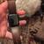 Apple watch se 2 thumbnail