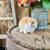 Rabbit 11 thumbnail
