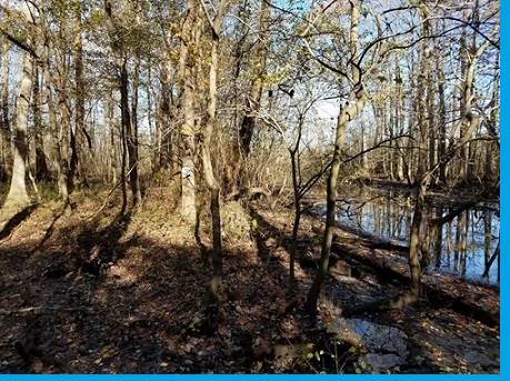 $425,000 The canvas to paint your future residence in Perquimans County!64033800601731121