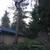 Angry Beaver Tree Removal Services 2 thumbnail