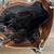 Christina Pell Italian SOFT  2-Tone Brown Leather Shoulder Tote Handba 6 thumbnail