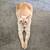 Rehoming 2yr old Boy cat 2 thumbnail
