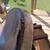 Bronc saddle? 6 thumbnail