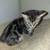 Kitties 8 thumbnail