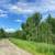 6.7 acre lot in the hills 1 thumbnail