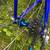 55 cm Jamis Ventura 27 Speed 10 thumbnail