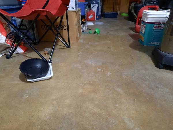 Reubicación de un gatito (Copperas Cove)