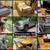 HUGE Outdoor Gear Estate Auction—Toyota Tundra, Sitka Gear, & More! 1 thumbnail